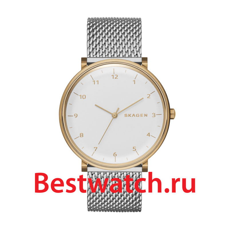 Часы Skagen Mesh SKW6170