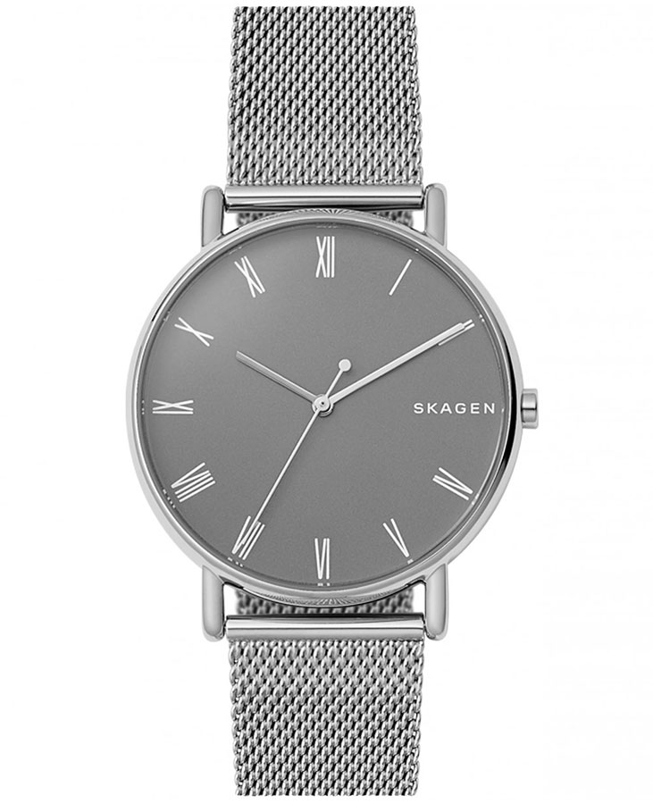Часы Skagen Mesh SKW6428