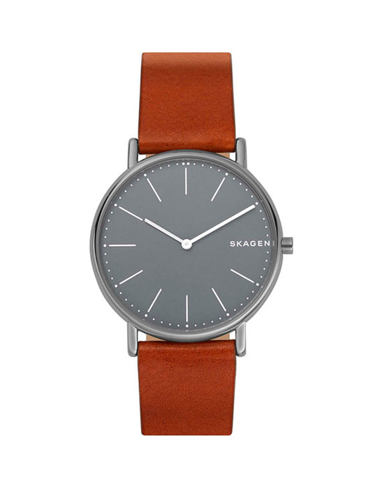 Часы Skagen Leather SKW6429