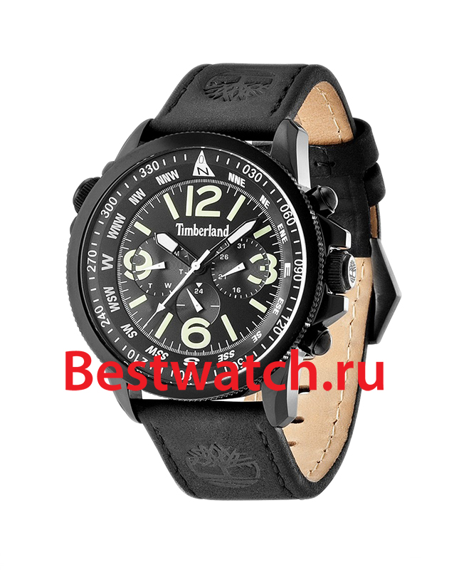 Часы Timberland Campton TBL.13910JSB_02