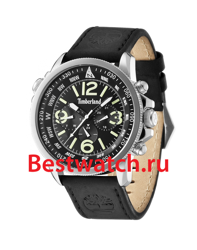 Часы Timberland Campton TBL.13910JS_02