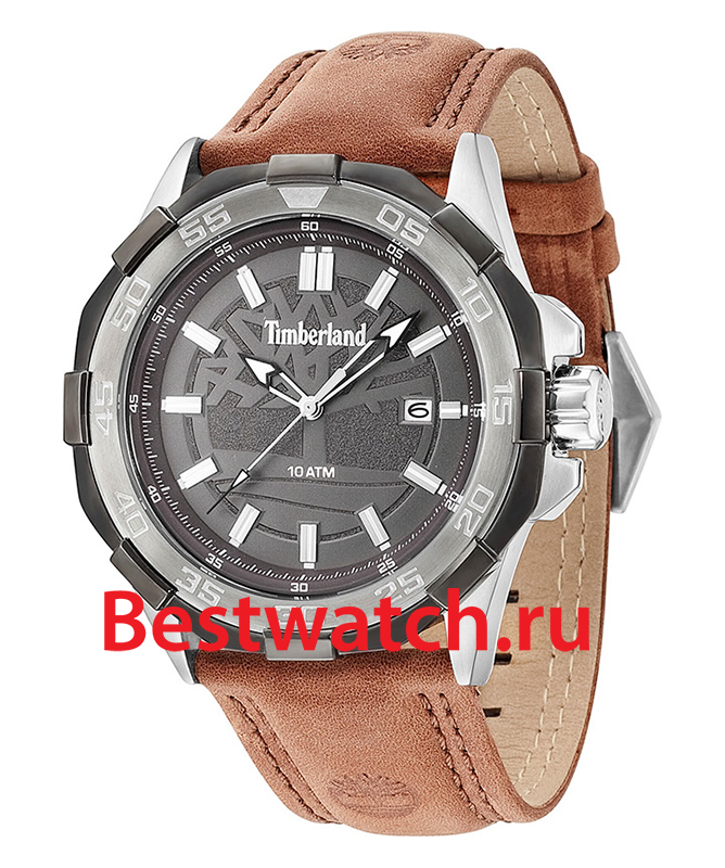 Часы Timberland Paugus TBL.14098JSTU_61