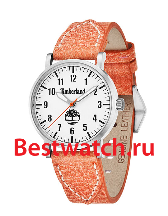 Часы Timberland Opechee TBL.14110BS_04