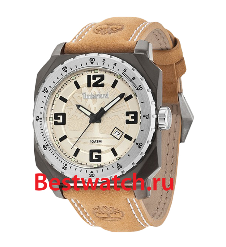 Часы Timberland Pinardville TBL.14321JSUS_07