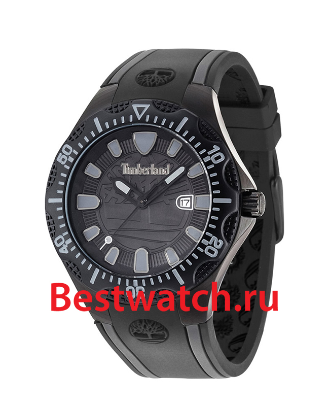 Часы Timberland Dixiville TBL.14323JSB_02