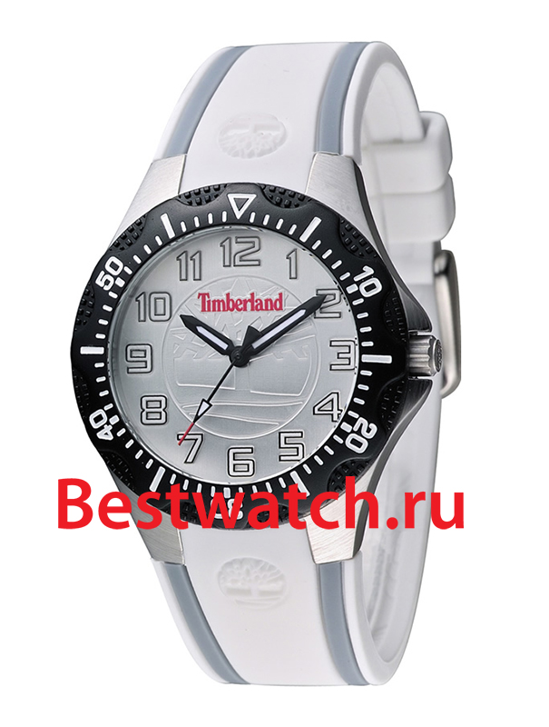 Часы Timberland Dixiville TBL.14323MSTB_04