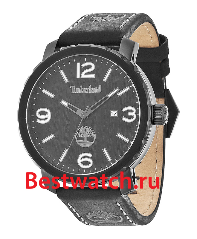Часы Timberland Pinkerton TBL.14399XSB_02