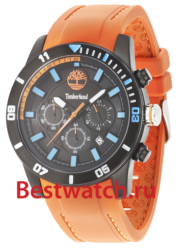 Часы Timberland Alden TBL.14524JSB_02P