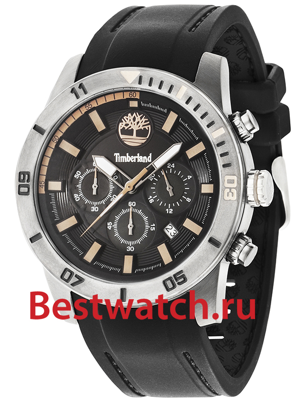 Часы Timberland Alden TBL.14524JSU_02AP