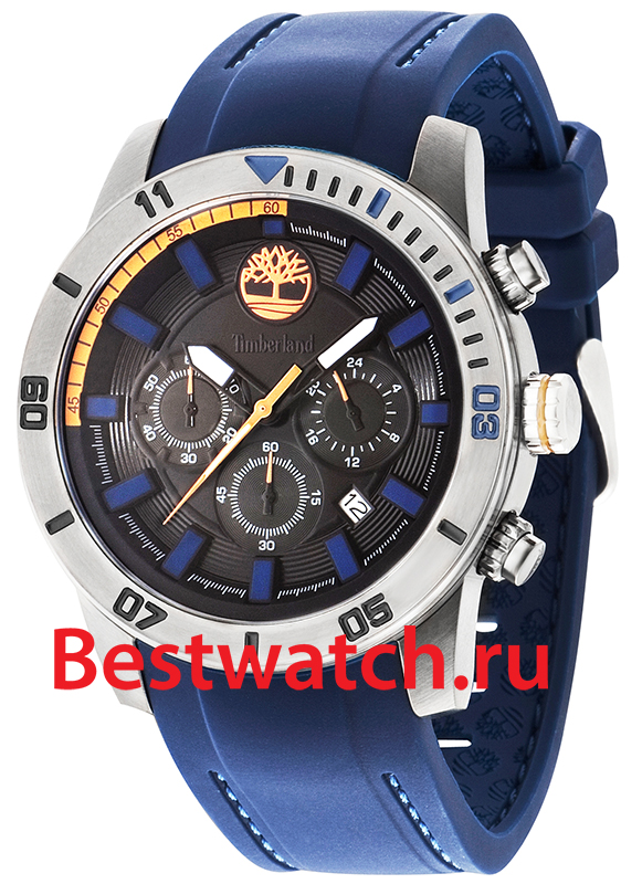 Часы Timberland Alden TBL.14524JSU_02P