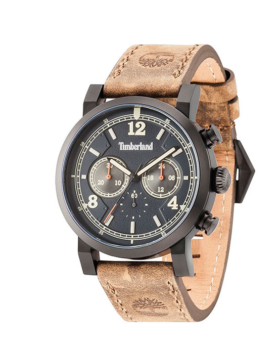 Часы Timberland Templeton TBL.14811JSB_19