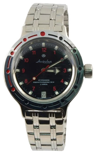 Часы Vostok Амфибия 420280