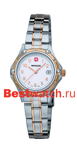 Часы Wenger Standard Issue 70609