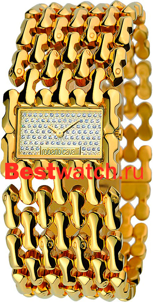Часы Cavalli Roberto Cavalli Ladies 7253146517