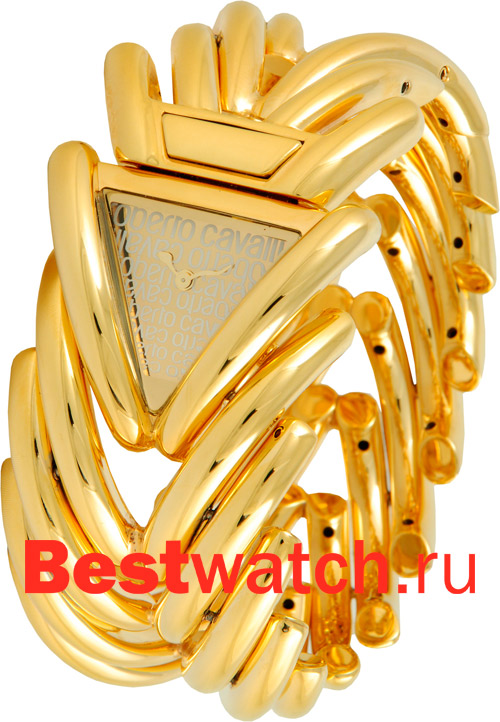 Часы Cavalli Roberto Cavalli Ladies 7253172500