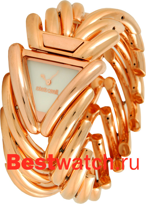 Часы Cavalli Roberto Cavalli Ladies 7253172645