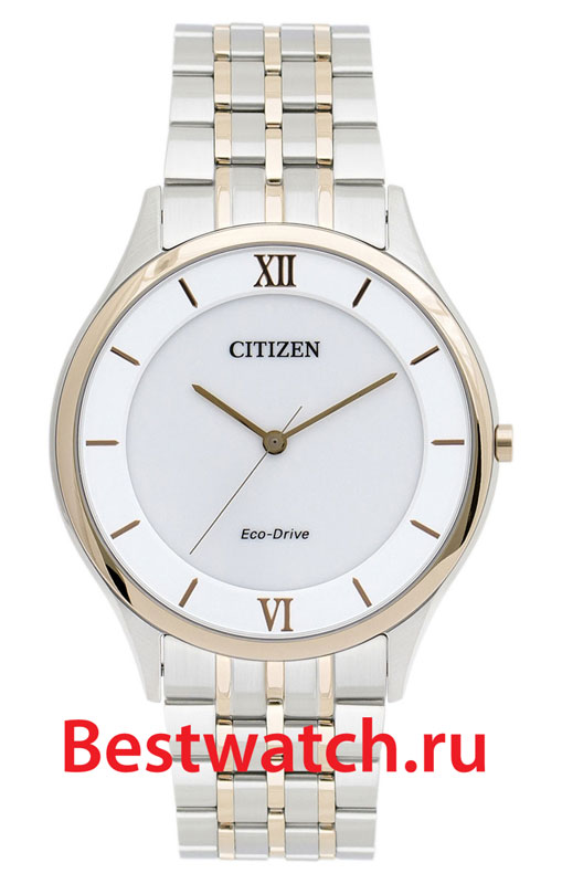 Часы Citizen Eco-Drive AR0075-58A
