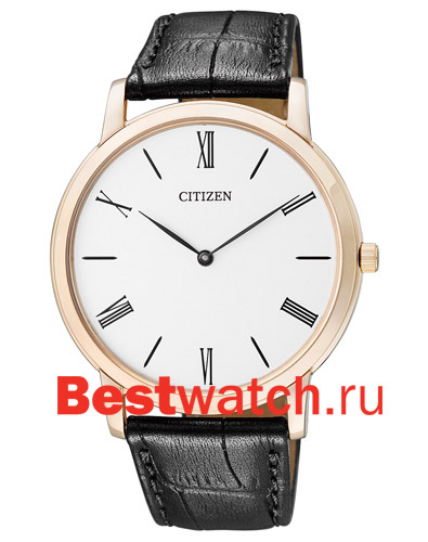 Часы Citizen Elegance AR1113-04B