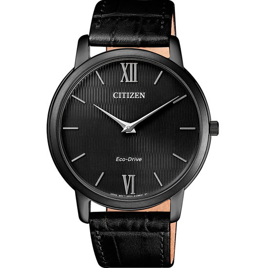 Часы Citizen Eco-Drive AR1135-10E