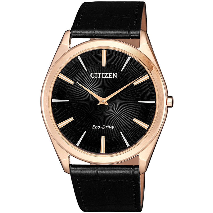 Часы Citizen Eco-Drive AR3073-06E