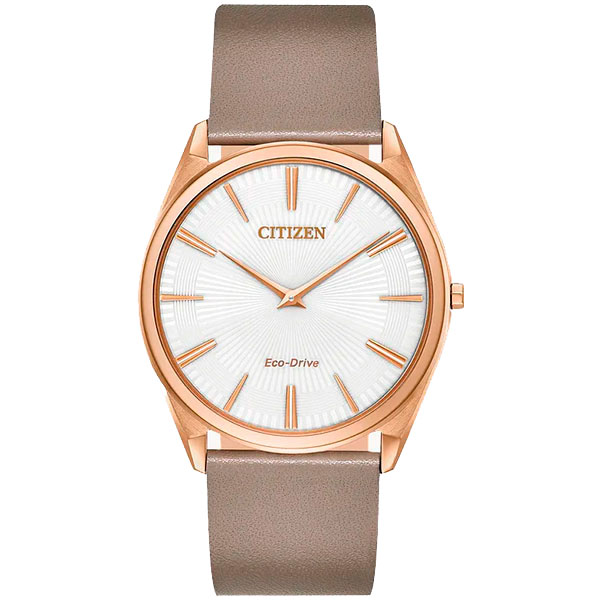 Часы Citizen Eco-Drive AR3076-08A
