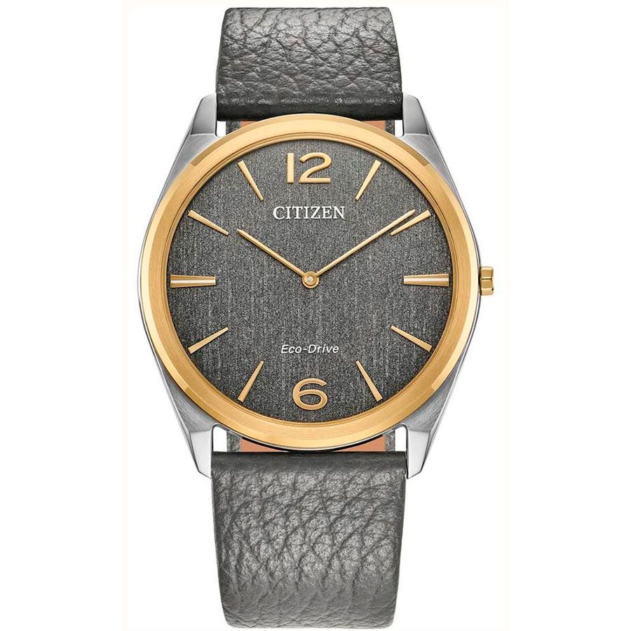 Часы Citizen Eco-Drive AR3124-07H
