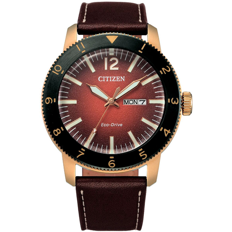 Часы Citizen Eco-Drive AW0079-13X