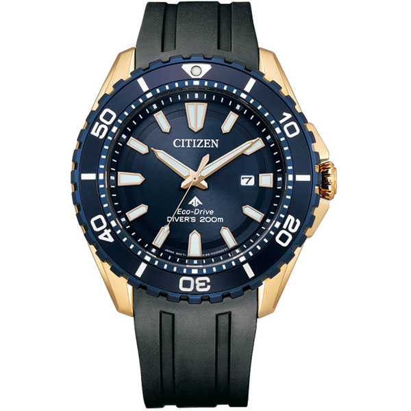 Часы Citizen Promaster BN0196-01L