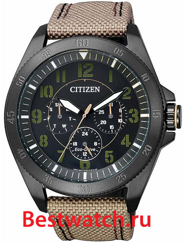 Часы Citizen Eco-Drive BU2035-05E