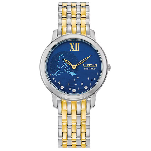 Часы Citizen Eco-Drive EX1499-50W