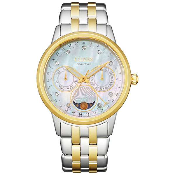 Часы Citizen Eco-Drive FD0004-51D