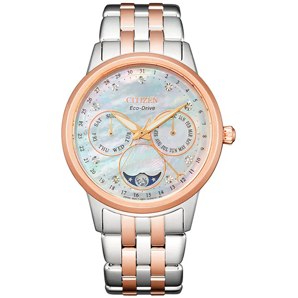 Часы Citizen Eco-Drive FD0006-56D