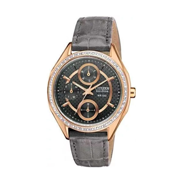 Часы Citizen Eco-Drive FD1063-06H