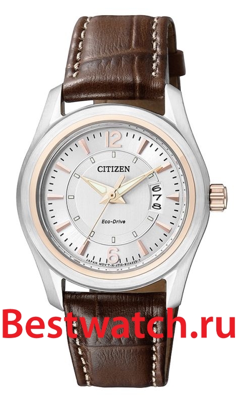 Часы Citizen Eco-Drive FE1015-11A