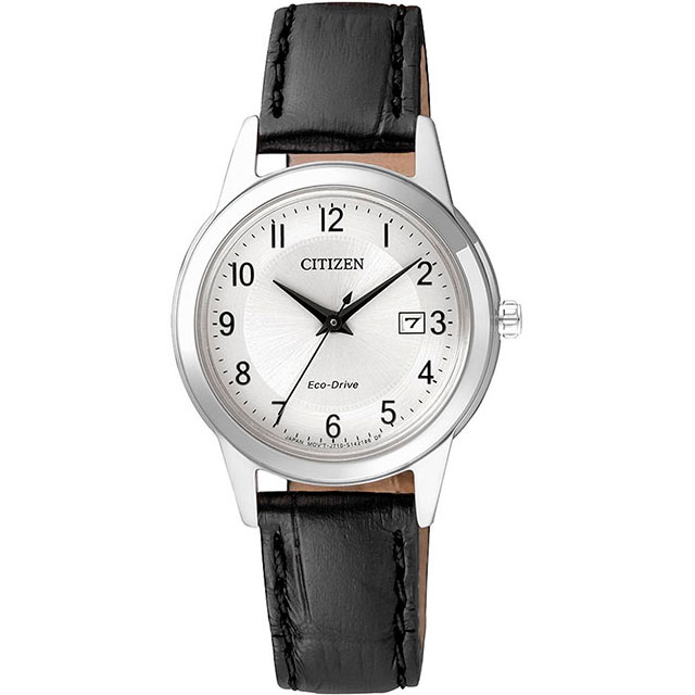 Часы Citizen Eco-Drive FE1081-08A