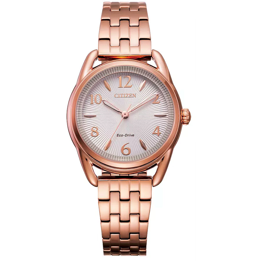 Часы Citizen Eco-Drive FE1213-50A