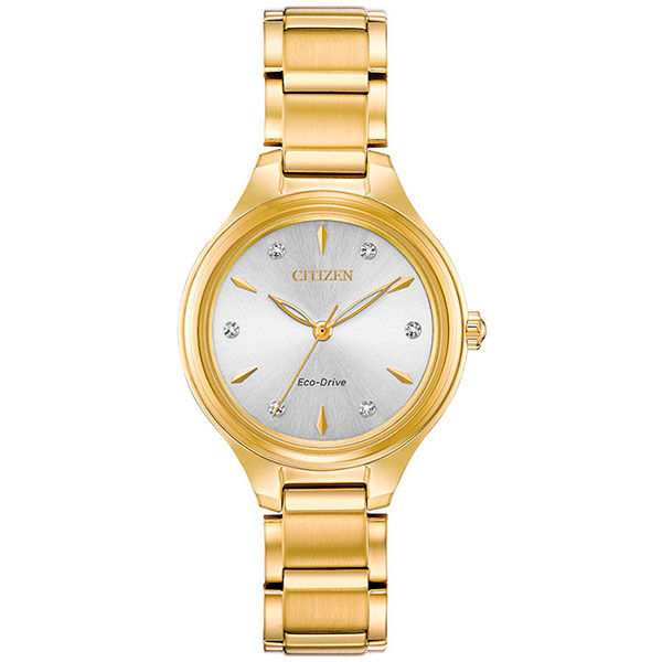 Часы Citizen Eco-Drive FE2102-55A