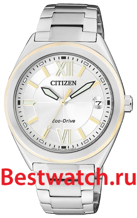 Часы Citizen Eco-Drive FE6004-52A