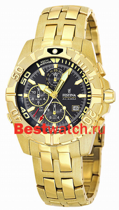 Часы Festina Chronograph 16119.3