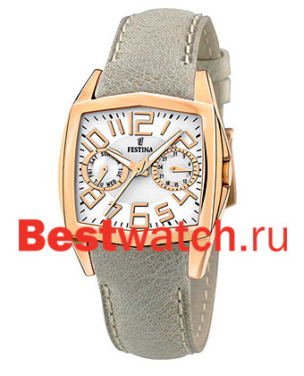 Часы Festina Multifunction 16264.1