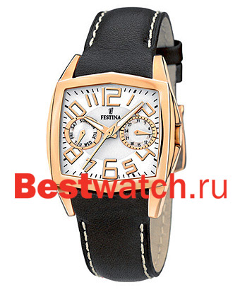 Часы Festina Multifunction 16264.4