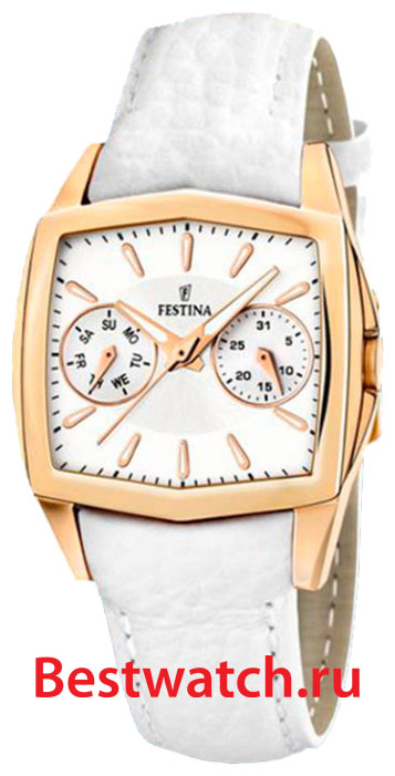 Часы Festina Multifunction 16264.F