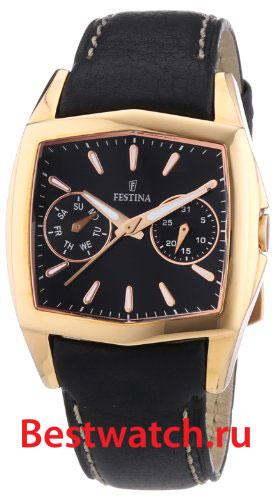 Часы Festina Multifunction 16264.I