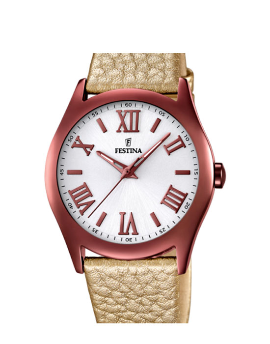 Часы Festina Boyfriend Collection 16649.6