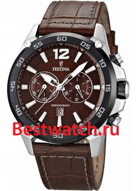 Часы Festina Sport 16673.6