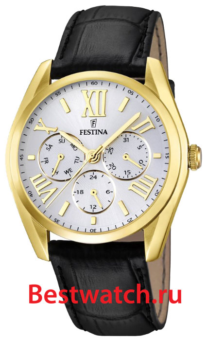 Часы Festina Multifunction 16753.1