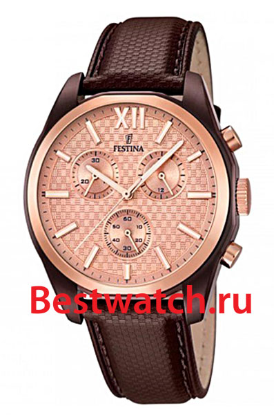 Часы Festina Chronograph 16863.1