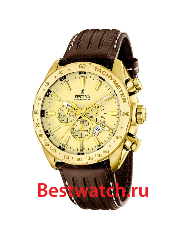 Часы Festina Sport 16879.2