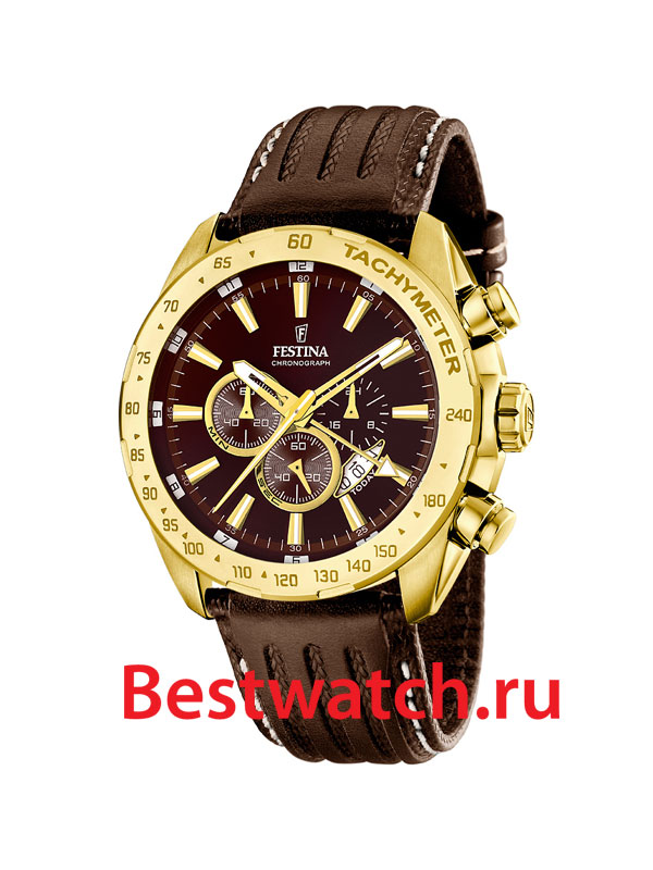 Часы Festina Sport 16879.3