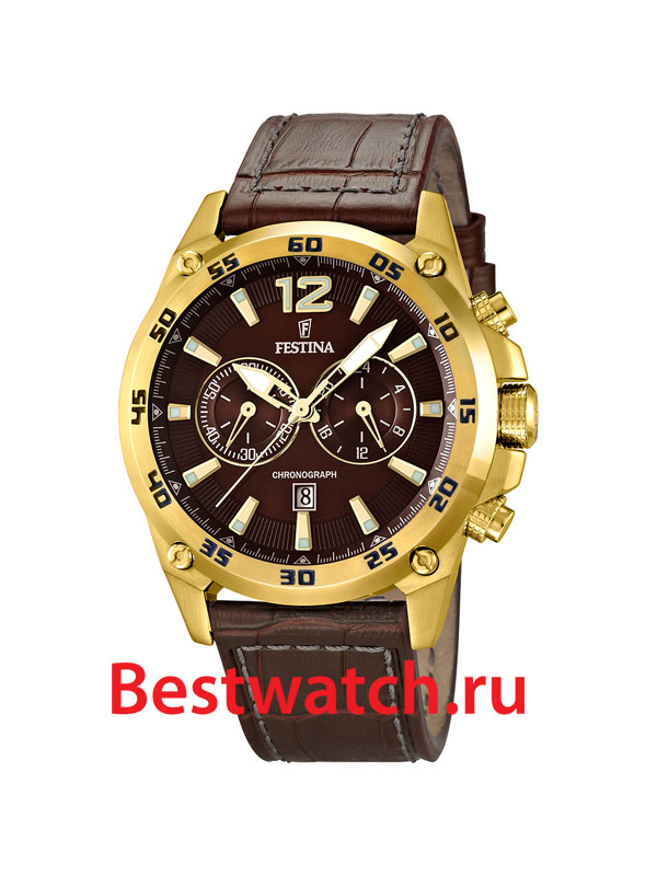 Часы Festina Sport 16880.2